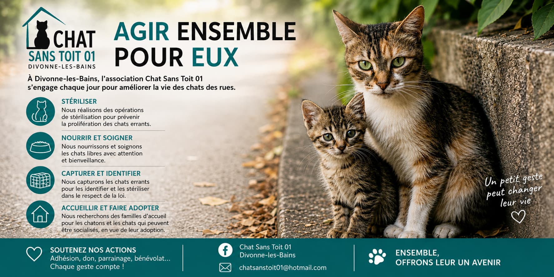 Chat Sans Toit 01 - Ensemble pour les chats des rues